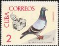 Colnect-2509-009-Domestic-Pigeon-Columba-livia-forma-domestica-Timer.jpg