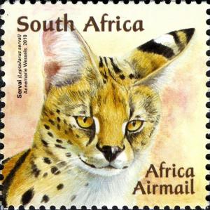 Serval-Leptailurus-serval.jpg