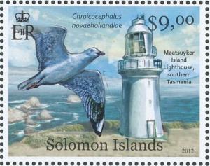 Colnect-1447-093-Maatsuyker-Islands-Silver-Gull-Chroicocephalus-novaehollan.jpg