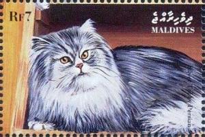 Colnect-4185-898-Silver-tabby-Persian.jpg