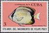 Colnect-2307-536-Reef-Butterflyfish-Chaetodon-sedentarius.jpg