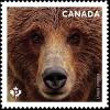 Colnect-5921-333-Grizzly-Bear-Ursus-arctos.jpg