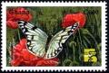 Colnect-2343-742-Butterfly-Pontiana-protodicae.jpg