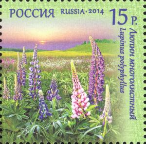 Colnect-2125-308-Lupinus-Polyphyllus-Flora-of-Russia.jpg