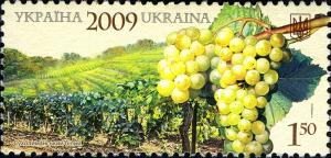 Colnect-5495-491-Sukholymansky-White-Grape.jpg