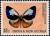 Colnect-5990-359-Milkweed-Butterfly-Euploea-callithoe-duerrsteini.jpg