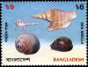 Colnect-3012-988-Snail-three-other-shells.jpg