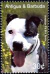 Colnect-3414-746-American-Pit-Bull-Terrier-Canis-lupus-familiaris.jpg