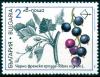 Colnect-4290-234-Medicinal-Plants---Ribes-nigrum.jpg