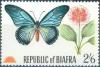 Colnect-897-336-Giant-Blue-Swallowtail-Papilio-zalmoxis-Haemanthus-cinnab.jpg