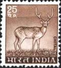 Colnect-1519-231-Chital-Axis-Deer-Axis-axis.jpg