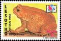 Colnect-1736-282-Guttural-toad-Bufo-gutturalis.jpg
