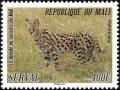 Colnect-2678-255-Serval-Leptailurus-serval.jpg