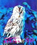 Colnect-3009-177-Boreal-Owl-nbsp-Aegolius-funereus.jpg