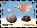 Colnect-3012-988-Snail-three-other-shells.jpg