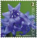 Colnect-3898-929-Tepal-of-Common-Bluebell.jpg