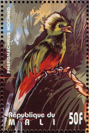 Colnect-2375-994-Quetzal-Pharomachrus-mocinno.jpg