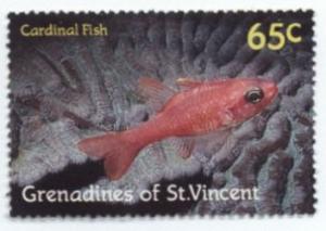 Colnect-954-529-Cardinal-Fish-Apogon-imberbis.jpg
