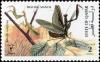 Colnect-4169-088-Praying-Mantis-Mantis-religiosa.jpg