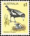 Colnect-5174-602-Western-Australian-Magpie-Gymnorhina-tibicen-dorsalis.jpg