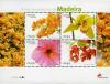 Colnect-546-330-Madeira-Flowers.jpg