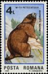 Colnect-5816-620-Alpine-Marmot-Marmota-marmota.jpg