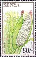 Colnect-2838-580-Maize---Zea-mays.jpg