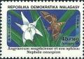 Colnect-3162-612-Orchid-Angraecum-magdalenae-Moth-Nephele-oenopion.jpg