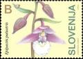 Colnect-705-817-Orchids-of-Slovenia---Marsh-Helleborine-Epipactis-palustris.jpg