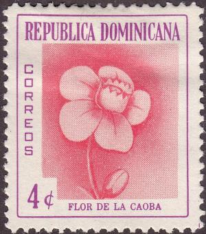 Colnect-2217-236-Mahogany-flower.jpg