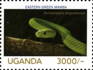 Colnect-3053-192-Eastern-Green-Mamba-Dendroaspis-angusticeps.jpg