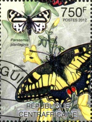 Colnect-3075-296-Swallowtail-Papilio-machaon-Wood-Tiger-Parasemia-plantag.jpg