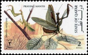 Colnect-4169-088-Praying-Mantis-Mantis-religiosa.jpg