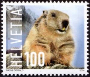 Colnect-5330-859-Alpine-Marmot-Marmota-marmota.jpg