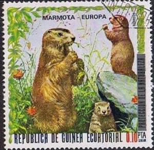 Colnect-859-062-Alpine-Marmot-Marmota-marmota.jpg