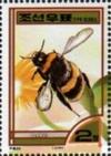 Colnect-2262-849-Bumblebee-Bombus-sp.jpg