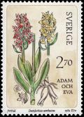 Colnect-4383-788-Dactylorhiza-sambucina---Elder-flowered-Orchid.jpg
