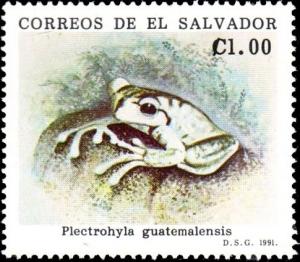 Colnect-3202-847-Guatemala-Spikethumb-Frog-Plectrohyla-guatemalensis.jpg