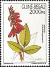 Colnect-1177-950-Medicinal-Plant.jpg