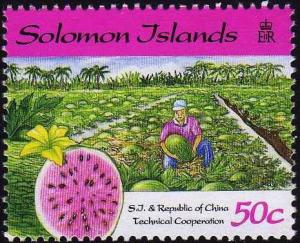 Colnect-4061-269-Water-melon-and-cultivation.jpg