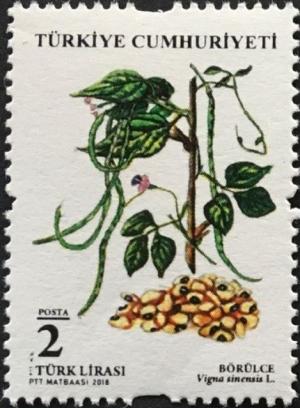 Colnect-5343-204-Legumes--Black-Eyed-Peas.jpg