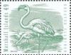 Colnect-2977-543-Greater-Flamingo-Phoenicopterus-roseus.jpg