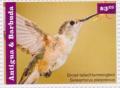Colnect-2977-567-Broad-tailed-Hummingbird-Selasphorus-platycercus.jpg