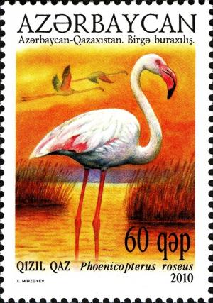 Colnect-1604-633-Greater-Flamingo-Phoenicopterus-roseus.jpg