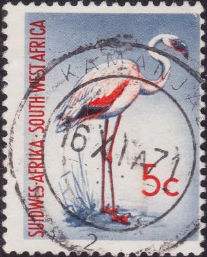 Colnect-1949-361-Lesser-Flamingo-Phoeniconaias-minor.jpg
