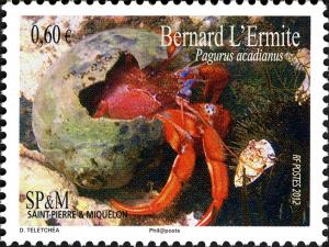 Colnect-2341-047-Acadian-hermit-crab-Pagurus-acadianus.jpg