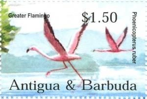Colnect-3498-534-Greater-Flamingo-Phoenicopterus-roseus.jpg