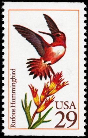 Colnect-3614-716-Rufous-Hummingbird-Selasphorus-rufus.jpg