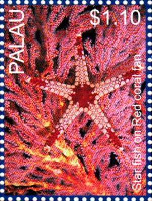 Colnect-4910-090-Star-fish-Fomia-monilis-on-Red-coral-fan.jpg
