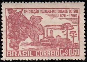 Colnect-769-936-75-years-of-Italian-immigration-in-Rio-Grande-do-Sul-state.jpg